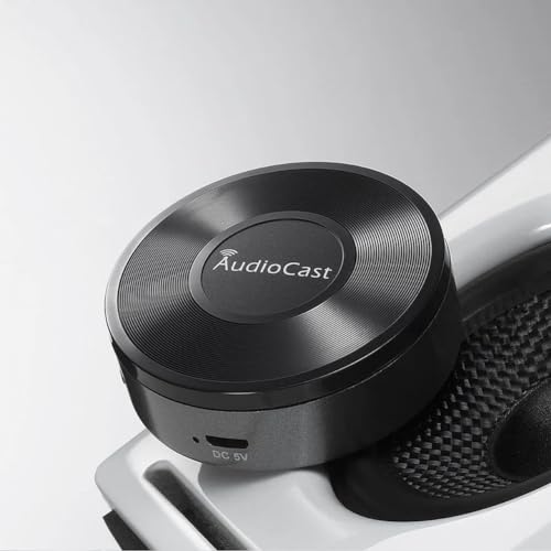 Récepteur diffusion audio sans WiFi iEast M5 DLNA Airplay