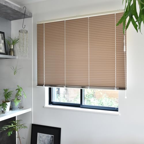 �y1cm�P�ʁzTOSO �v���d�l�u���C���h��173cm×��177cm �ՔM RCB1849-173x177r68 1�Z�b�g�i�����i�j