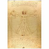 ROSSOGRAFICO ウィトルウィウス的人体図 ポスター レオナルド・ダ・ヴィンチ 解剖図 絵画 芸術 人物画 アナトミー 日本製 アートポスター (ベージュ, A2(42×59.4cm))