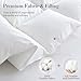 SHOUREN White Luxurious Goose Feather Down Fiber Comforter, All Season Hotel Collection Bed Comforter，Ultra Soft 100% Cotton Duvet Insert with Corner Tabs, Queen Size 90
