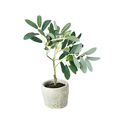 Homeford Artificial Olive Tree in Pot, 12-Inch