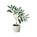 Homeford Artificial Olive Tree in Pot, 12-Inch