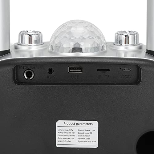 Máquina de karaokê familiar, alto-falante portátil RGB sem fio Bluetooth para festa em casa/reunião/