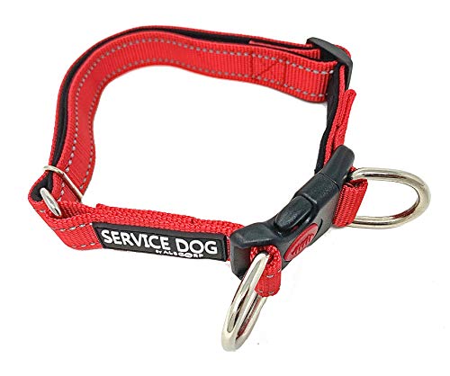 Albcorp Reflective Service Dog Collar - Service Dog Rubber Patch - Durable D-Ring For Service Animal Leashes Or Id Tags, Small, Red #TOP1