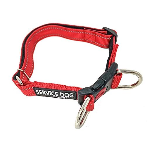 Albcorp Reflective Service Dog Collar - Service Dog Rubber Patch - Durable D-Ring for Service Animal Leashes or ID Tags, Medium, Red