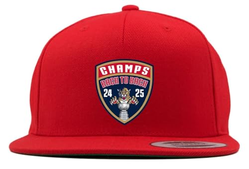 Snapback Panthers 2025 Champions Back 2 Back Hat
