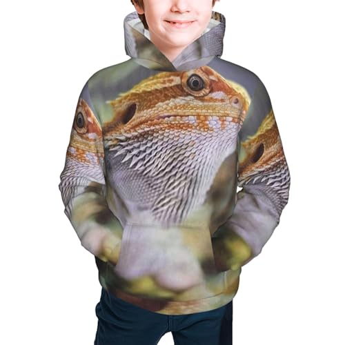 Dragon Lizard Boy, Girls Sports Shirt Youth Pullover Fashion Hooded Sweatshirt