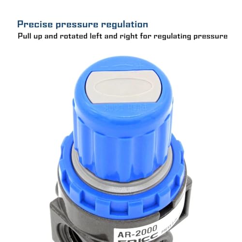 Processeur de source d'air AC2000 avec vanne de régulation de haute précision - 5