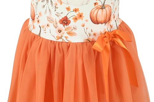 Image of Girls Sleeveless Tulle Toddler Tutu Dress for Girls