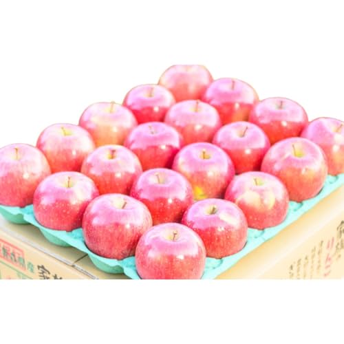 [ 2月発送 ]糖度13度以上 訳あり品 家庭用 葉とらず サンふじ 約 5kg [ 青森りんご ] 果物 フルーツ 食後 デザート 青森県産