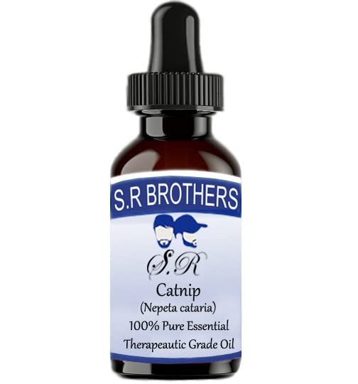 Catnip (Nepeta Cataria) Pure & Natural Essential Oils Plastic (30ml)