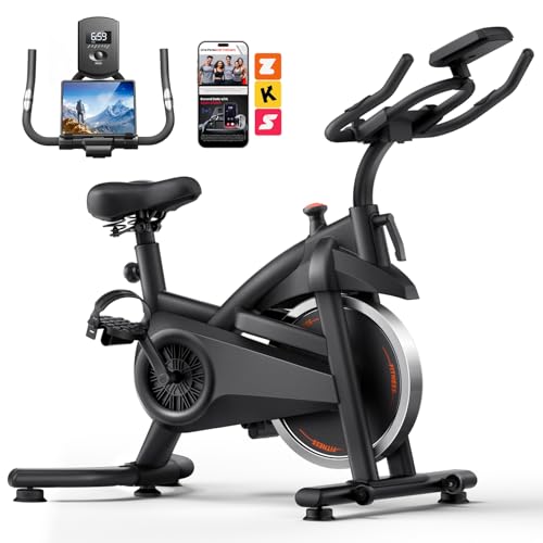Recumbent Exercise Bike with Pulse Monitor: Exercise BikeBrake Pad Stationary Bike for Home Guide