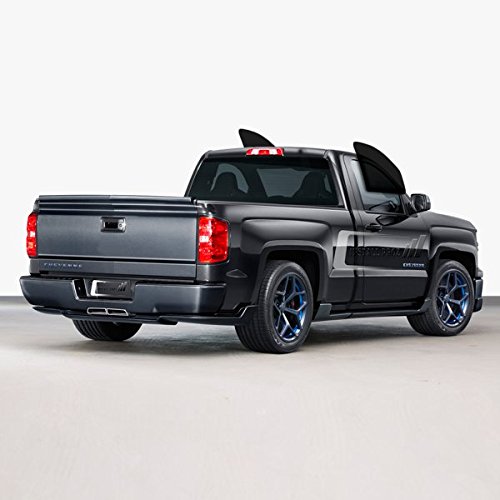 Tint Kits (Computer Cut) for All Two Door Trucks (C. Front Windows)