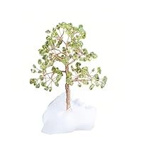 Amazon.co.jp: 招財樹 金のなる木【藍玉 アクアマリン】 水晶