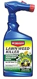 BioAdvanced Lawn Weed Killer Ready-to-Spray, Broadleaf Formula, 32 oz