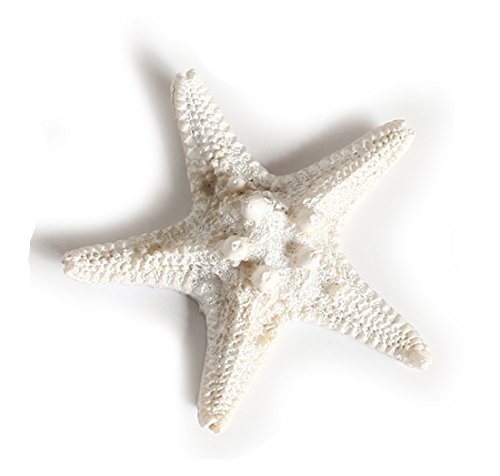 Cheerlife 2 Stück Künstlich Seesterne Heim Deko Badezimmer Mittelmeer Fisch Tank Landschaft Ornamente Aquarium zum Dekorieren & Basteln DIY (Weiß 5cm) Cover