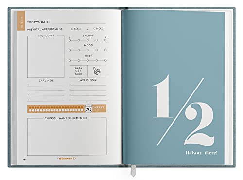The Pregnancy Journal: A Beautiful and Modern Pregnancy Planner, Organizer and Memory Book Album for Mom and Baby (Premium Keepsake Edition) - Thumbnail 4