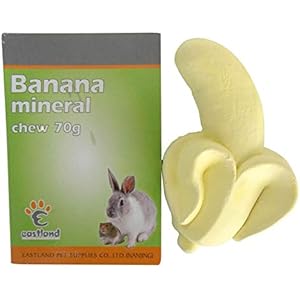 evcil hayvan urunleri