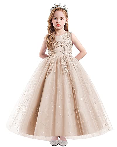 HIHCBF Flower Girls Lace Applique Wedding Sequins Tulle Dress Princess Pageant Communion Birthday Christmas Party Ball Gown