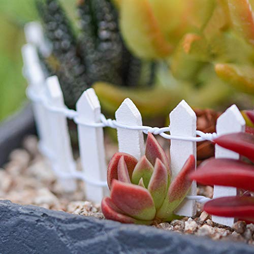Ymeibe 35 Inch 2-Pack Miniature Fairy Garden Fence Wood Decorative Ornament Fence For Dollhouse Succulent Plant Pot Diy Diorama Project Height 2 Inch (White) #TOP4