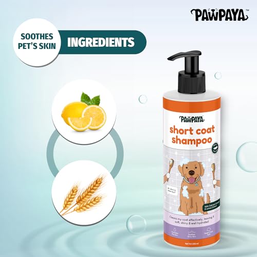 Image of Pawpaya Shampoo Pawpaya Shampoo for Dogs | Gentle Deep Cleansing Formula for Healthy Skin & Soft, Shiny Coat | Suitable for All Dog Breeds & Coat TypesDogs (Short Coat Shampoo)