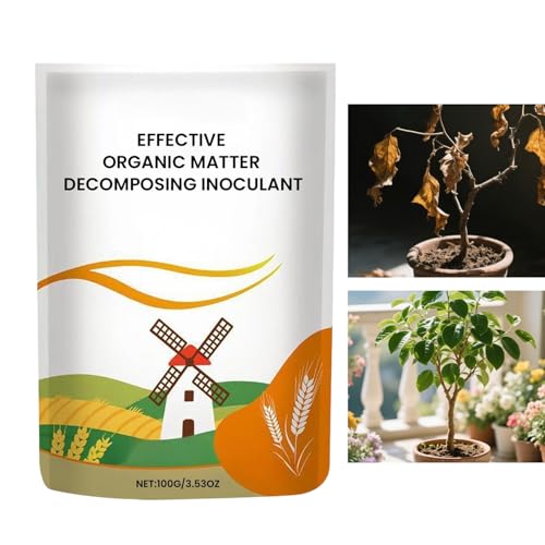 ApE_[ - 100g 앨i - A  i ,Atpy   ƒpŐ