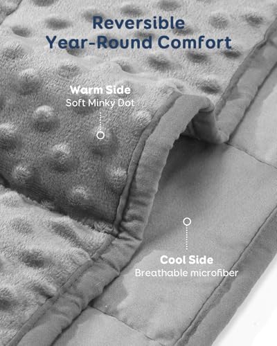 Kivik Weighted Blanket 15 lbs for Adults, Minky Dot Heavy Blankets, Microfiber Reversible Weighted Throw Blankets for All Seasons, Machine Washable, 48"x72" Twin Size, Grey