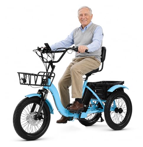 Triciclo elettrico per anziani – pneumatici larghi 18x3″,...