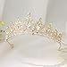Princess Tiara and Crown for Women Wedding Tiaras for Bridal girls Tiaras and Crystal Crowns Rhinestone Headband Metal Hair Accessories for Costume Birthday Party Prom Gifts