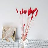 2. Organics Pampas-Gras, das frisch und natürlich aussieht, wird mit Vasen, Türkränzen, schicken Blumenregelungen, wilden Blumensträußen, rund um den Tisch, Wohnzimmer, Wald-Landdekoration, Esszimmer-Dekoration, gefüllt, die künstlerische Aroma in der lebenden Umgebung hinzufügen,Perfekte Dekoration für jeden Anlass.