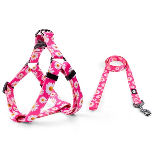 QQPETS Dog Harness Leash Set Adjustable Heavy Duty No Pull Halter Harnesses for Small Medium Large Breed Dogs Back Clip Anti-Twist Perfect for Walking (S(14