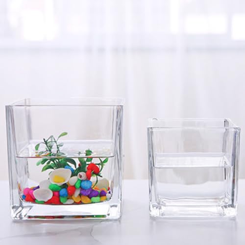Vase hydroponie verre carré transparent résistant thermique x4