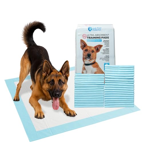 FPN Pet Training Pads, 80-Pack - 24x24 in Ultra-Absorbent, Leak-Proof, Fast-Drying, 5-Layer Protection, Anti-Slip, Odor Control for Dogs, Cats - Ideal for All Pets (Large)