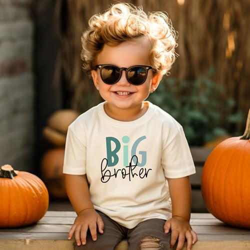 Big Brother T-Shirt Shirt for Boys Big Bro Sibling Reveal Tee4