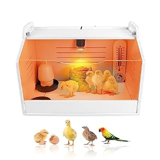 SanBouSi éleveuse poussins carton avec lampe, 15 sujets