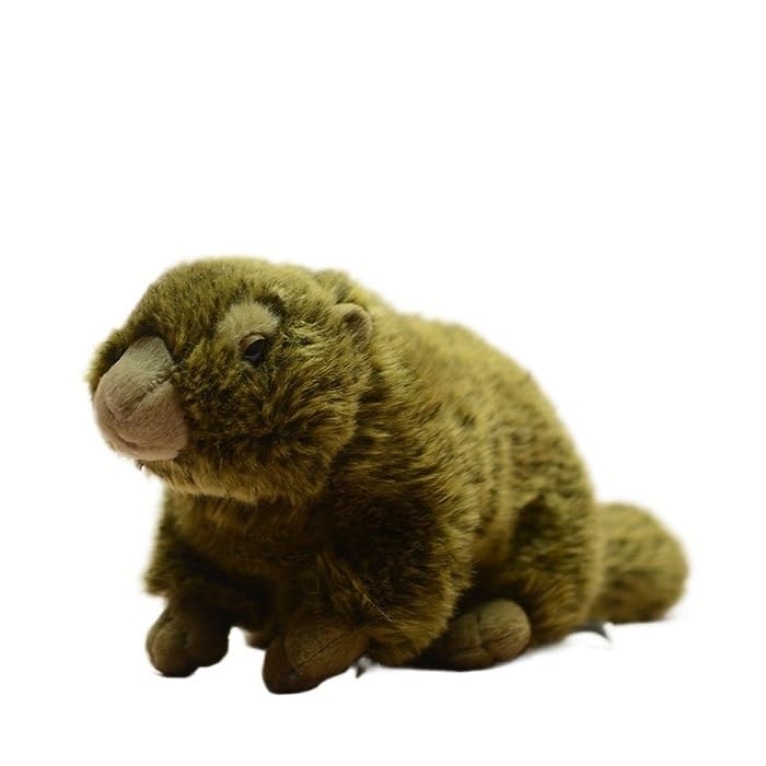 Poupée marmotte réaliste l'idée cadeau parfaite pour petits et grands