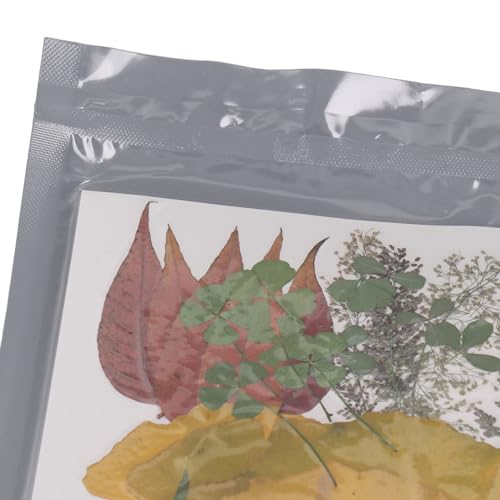 90 piezas de flores prensadas secas para manualidades miniatura 6
