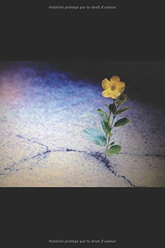 L'étincelle d'un rebelle: Un assoiffé de la liberté