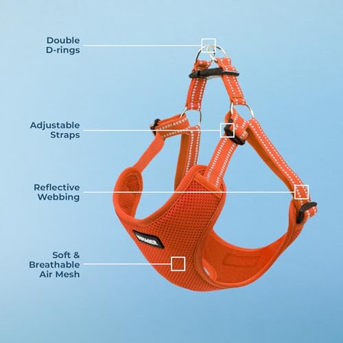 Image of Best Pet Supplies Voyager Adjustable Step-in Flex Breathable Mesh Dog Harness for Small Medium Large Dogs (Orange), XS