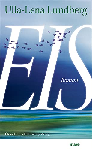 Eis: Roman