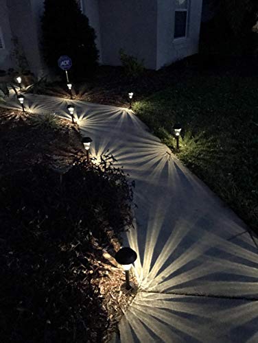 Enchanted Spaces Bronze Solar Path Light, Set of 6, with Glass Lens, Metal Ground Stake, and Extra-Bright LED for Garden, Lawn, Patio, Yard, Walkway, Driveway