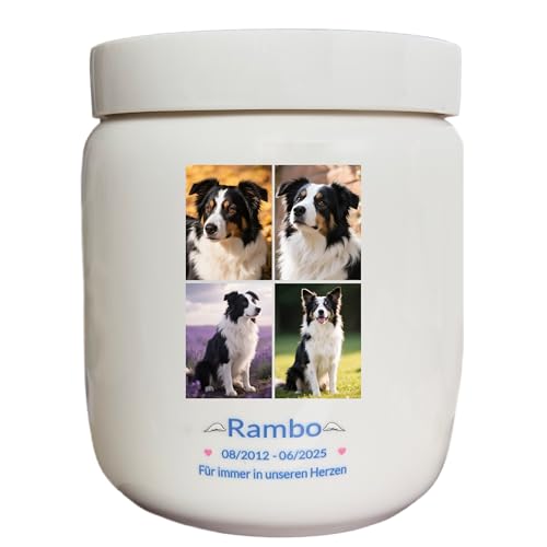 Personnalisée Urne Pour Chien, Urne à cendres de chien,Boîte à souvenirs en céramique, perte de chien, Fait à la main sur mesure (Grande Blanc, Cendres de grande taille ≤ 50 kg (pas d’os))