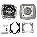 CDH110cc Replacement of Top End Cylinder Set and Bottom End Crank Set with Iron Sleeve Cylinder for 2 Stroke kit 84CC/85CC