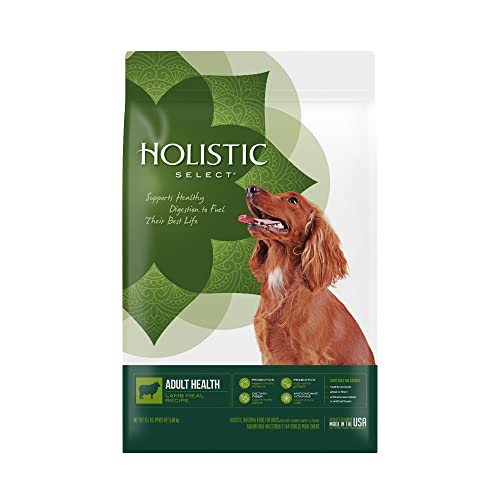 The Ultimate Guide to Holistic Dog Food Brands Top 10 Products