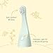 Pure Enrichment PureBaby 2-Pack Replacement Bristle Brush Heads for The Infant-to-Toddler Electric Toothbrush (PEBBYBSH-SG) - Ages 1-3 Years