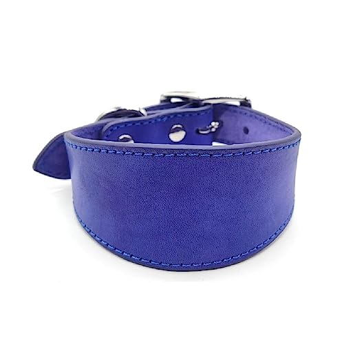 Collier rembourré doux pour lévriers d'exception accessoire réglable chic