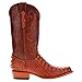 Vaccari Men's David Hand-Corded Top University of Florida Gators Embroidery Genuine Cognac Hornback Alligator Narrow Square Toe Cowboy Boots - 8 EE