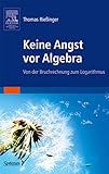 sixtus riessinger  Keine Angst vor Algebra: Von der Bruchrechnung zum Logarithmus