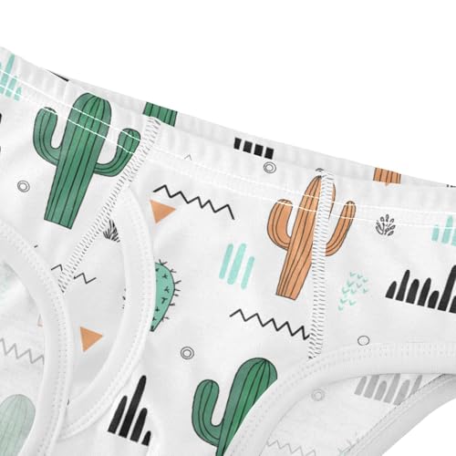Cactus Toddler Boy's Underwear 2T 202c16294