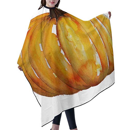 Preisvergleich Produktbild Aquarell-Kürbis-Schürze, wasserdicht, für Haarschneider, Dauerwellenfärbung, Haarstyling, für Friseure, Kosmetikerinnen, Damen, Herren, Erwachsene, 140 x 168 cm